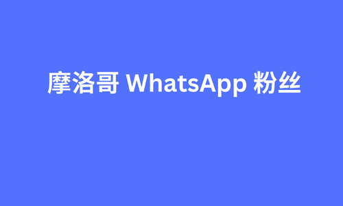 摩洛哥 whatsapp 粉丝