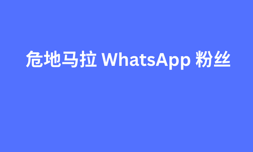 危地马拉 whatsapp 粉丝