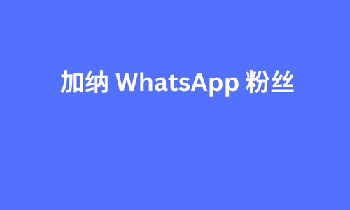 加纳 whatsapp 粉丝