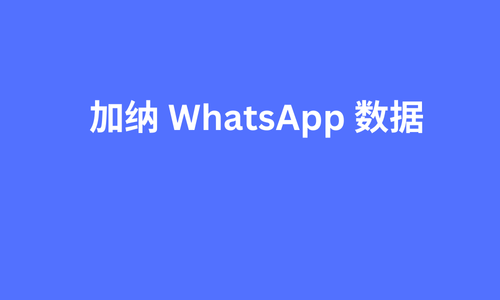 加纳 whatsapp 数据