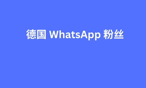 德国 whatsapp 粉丝