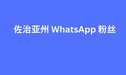 佐治亚州 whatsapp 粉丝