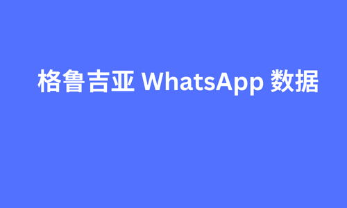 格鲁吉亚 whatsapp 数据