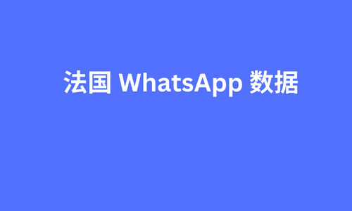 法国 whatsapp 数据