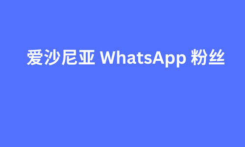 爱沙尼亚 WhatsApp 粉丝