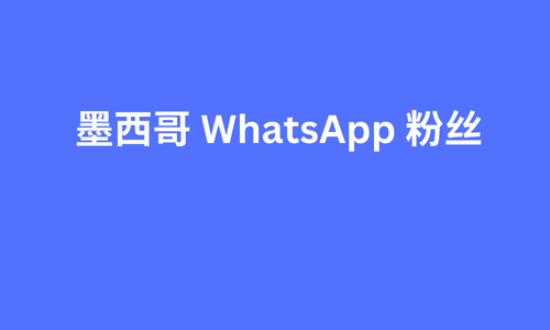 墨西哥 whatsapp 粉丝