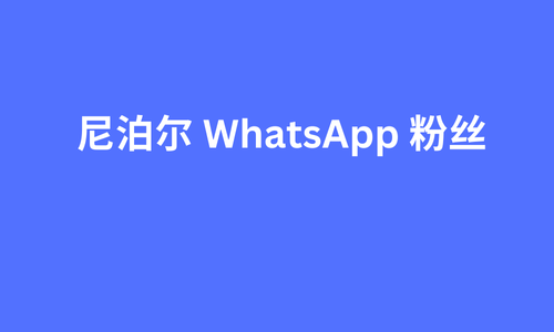 尼泊尔 whatsapp 粉丝