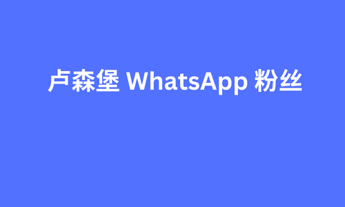 卢森堡 whatsapp 粉丝