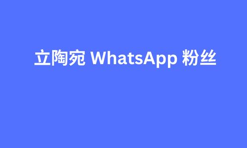 立陶宛 whatsapp 粉丝