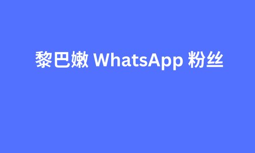 黎巴嫩 whatsapp 粉丝