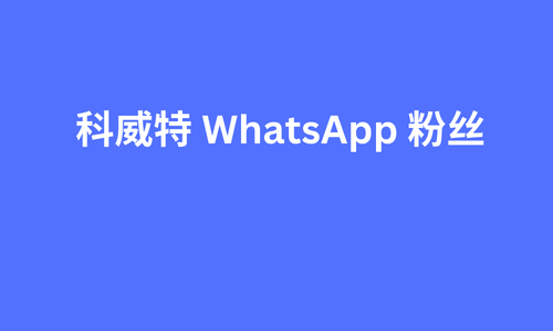 科威特 whatsapp 粉丝