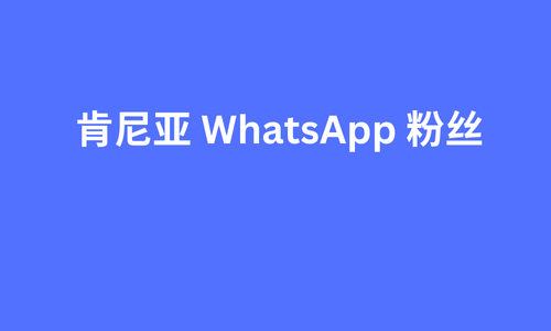 肯尼亚 whatsapp 粉丝