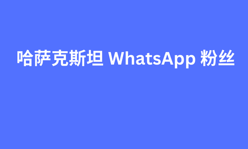 哈萨克斯坦 whatsapp 粉丝