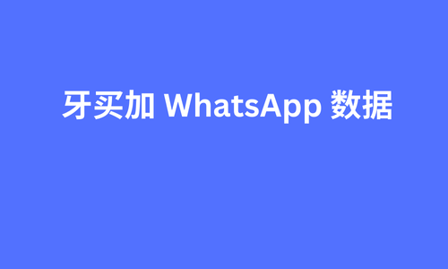 牙买加 whatsapp 数据