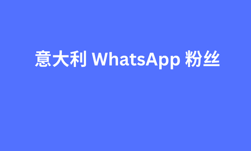 意大利 whatsapp 粉丝