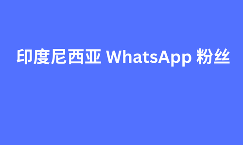 印度尼西亚 whatsapp 粉丝