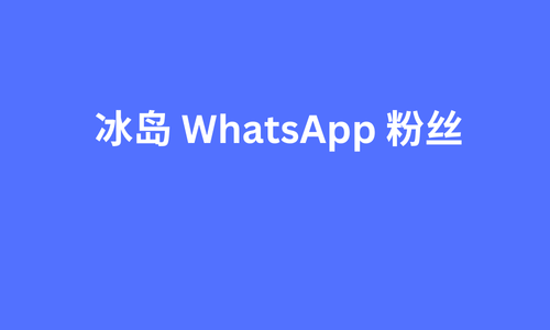 冰岛 whatsapp 粉丝