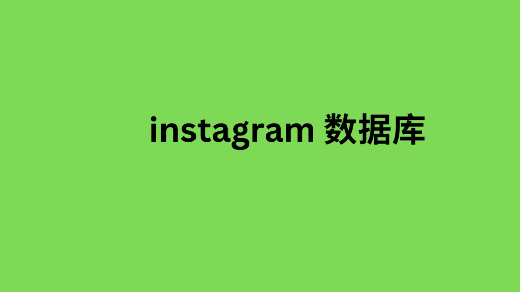 instagram 数据库