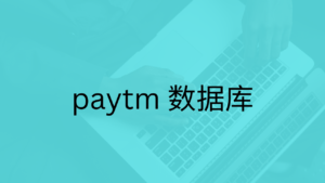 paytm 数据库