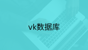 vk数据库