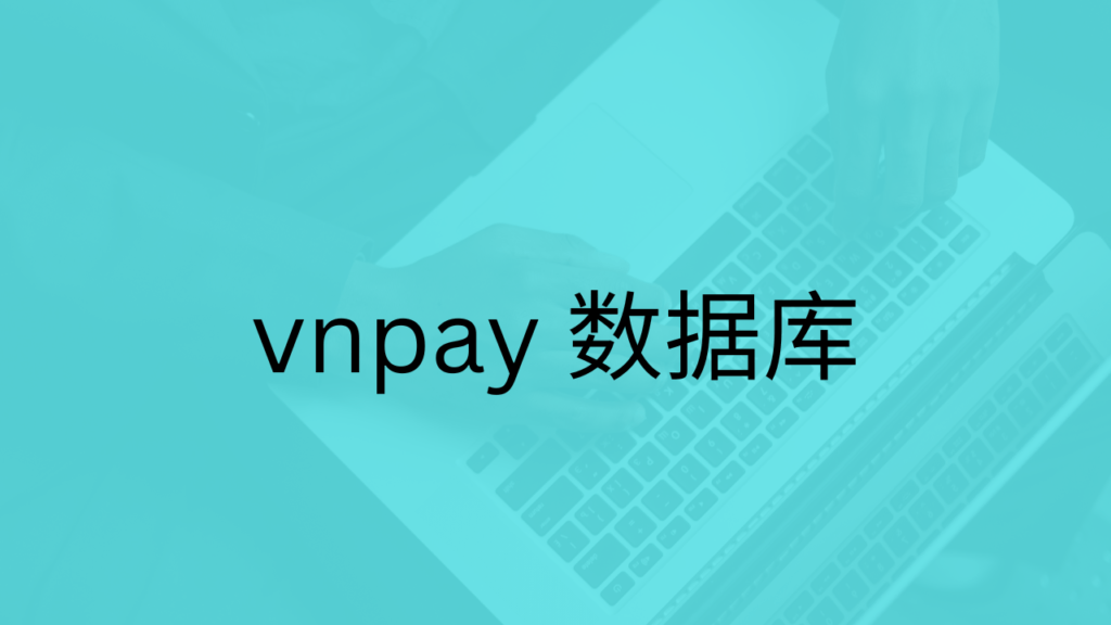 vnpay 数据库